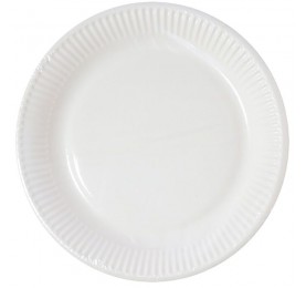 Assiette BLC carton, 23 CM